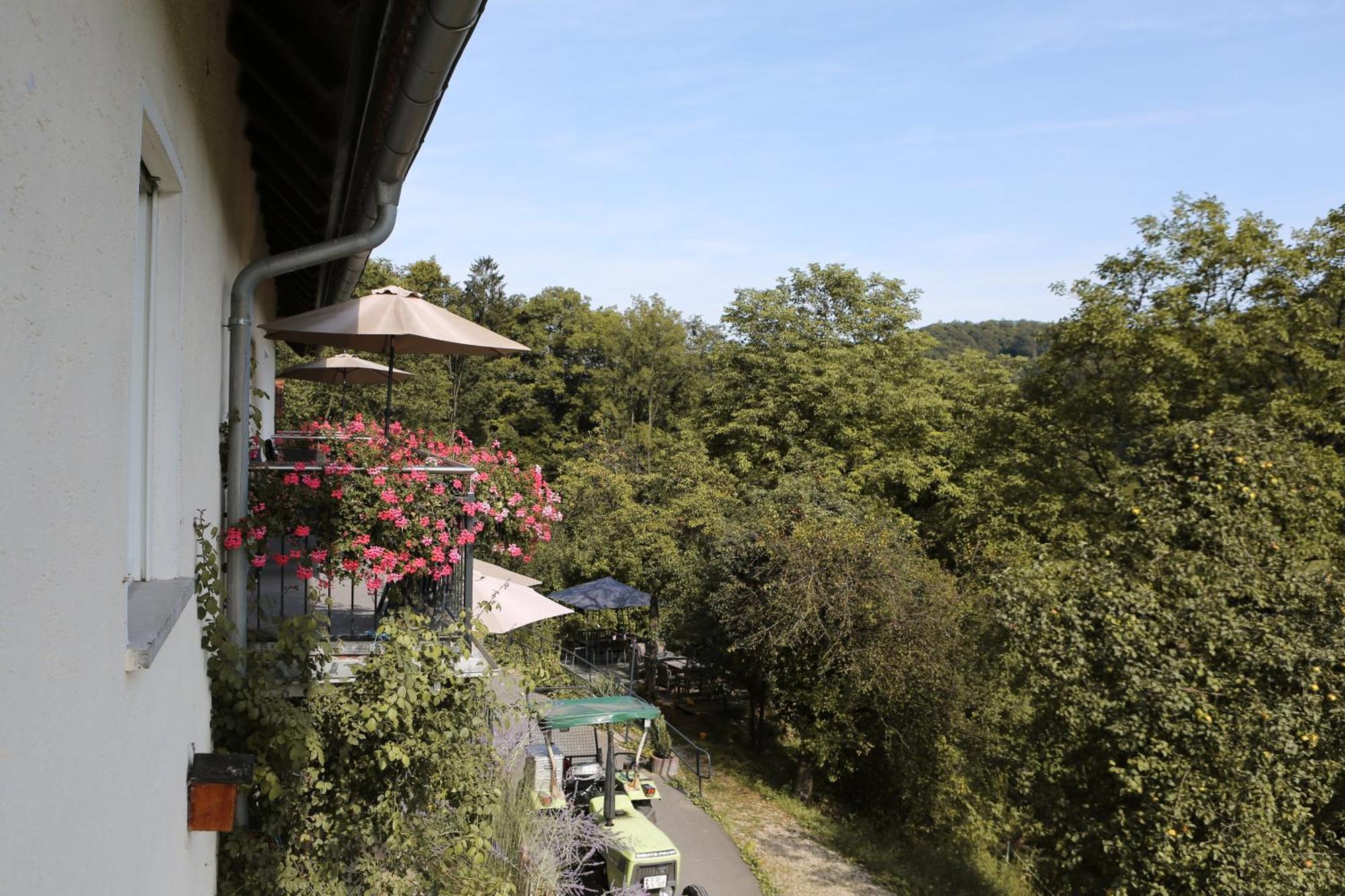 Ferienwohnungen Porisch Egloffstein Exterior photo